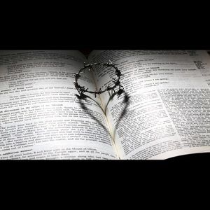 Meet your Posher, Rose